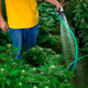 Illustration for article titled Marijuana Burdens California Water Supplies More Than Beer or Wine